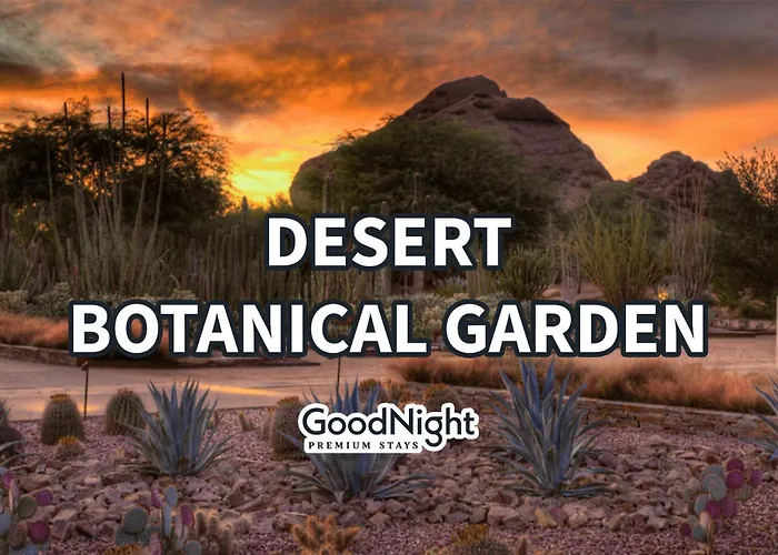 Holiday home Scottsdale - 445 N Arizona Ave Unit 15 *